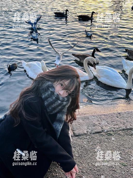 51吃瓜 百无禁忌,分享黑料大盘点,51吃瓜让你耳目一新!