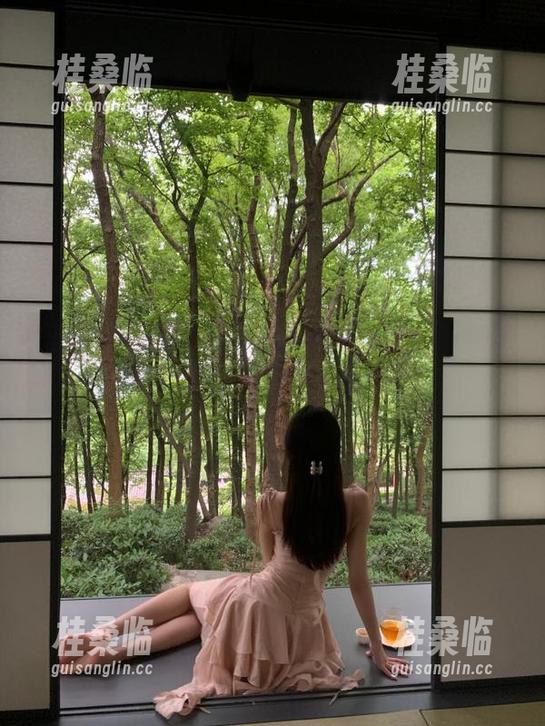 黑料正能量网址在此！免下载？简直就是懒人福音！