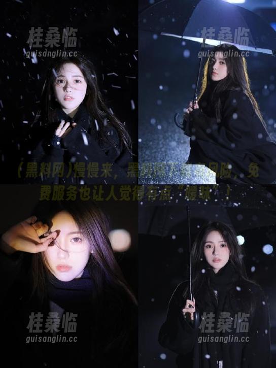 慢慢来，黑料网下载有风险，免费服务也让人觉得有点“暧昧”！
